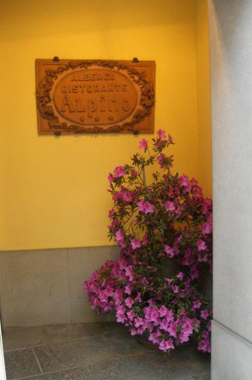 Hotel Alpino Barga Buitenkant foto